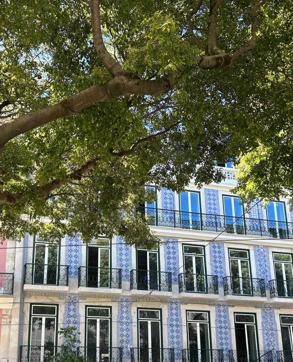 My view from a step in&nbsp;Lisbon